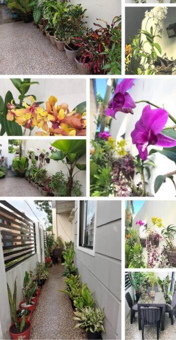 Home Away From Home. Bacolod Exterior foto